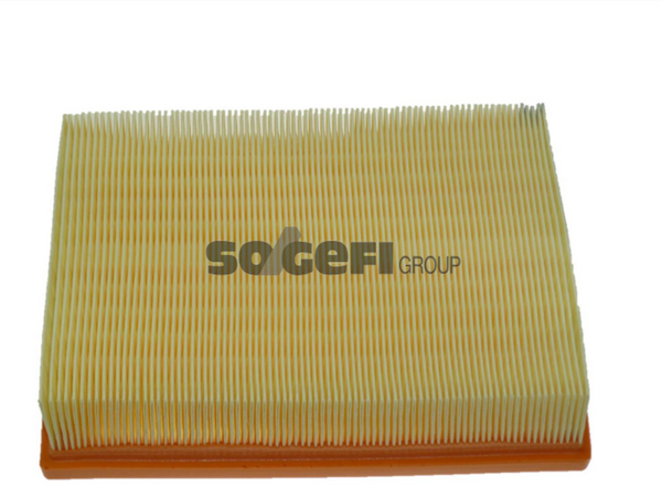 Fram Air Filter - CA10445