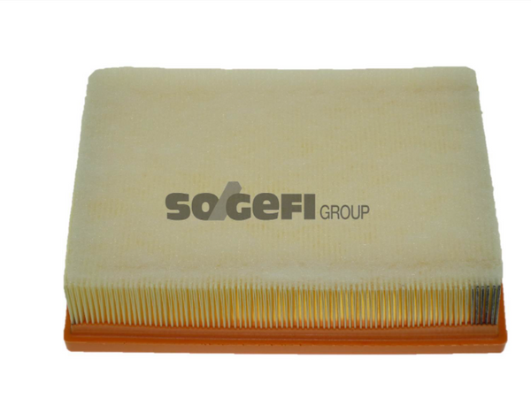 Fram Air Filter - CA10446