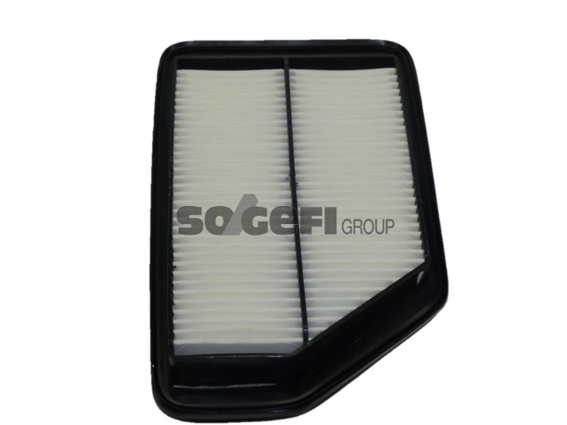 Fram Air Filter - CA10496