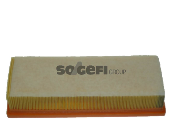 Fram Air Filter - CA10522