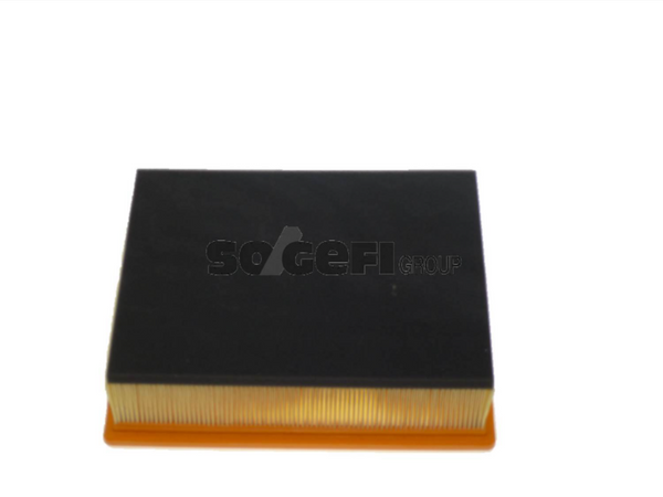 Fram Air Filter - CA10615