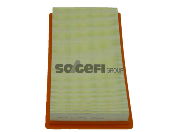 Fram Air Filter - CA10622