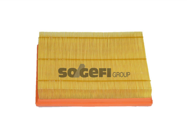 Fram Air Filter - CA10696