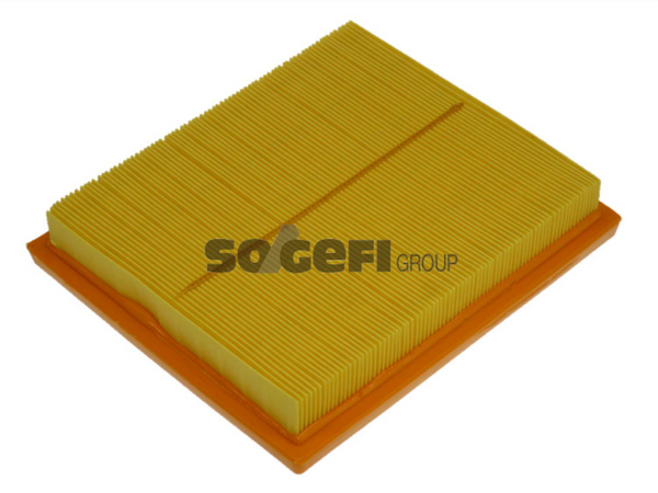 Fram Air Filter - CA10741