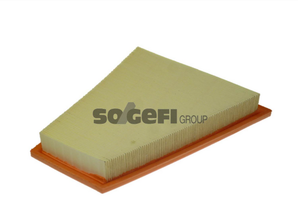 Fram Air Filter - CA10994