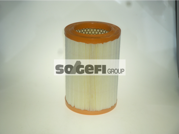 Fram Air Filter - CA11199