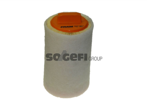 Fram Air Filter - CA11211