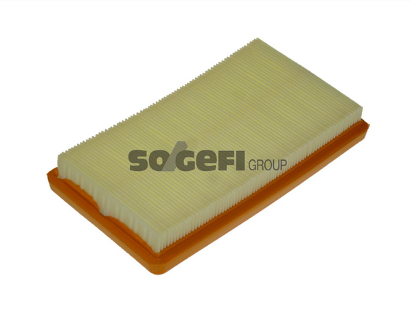 Fram Air Filter - CA11653