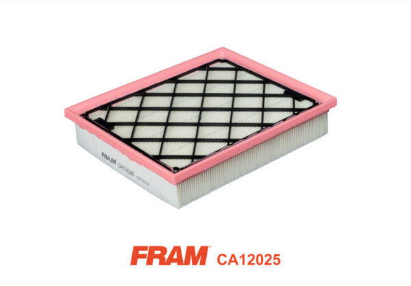 Fram Air Filter - CA12025