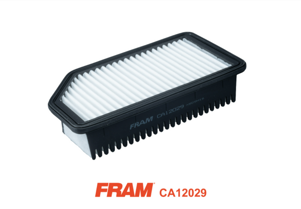 Fram Air Filter - CA12029