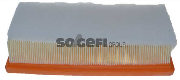 Fram Air Filter - CA12033