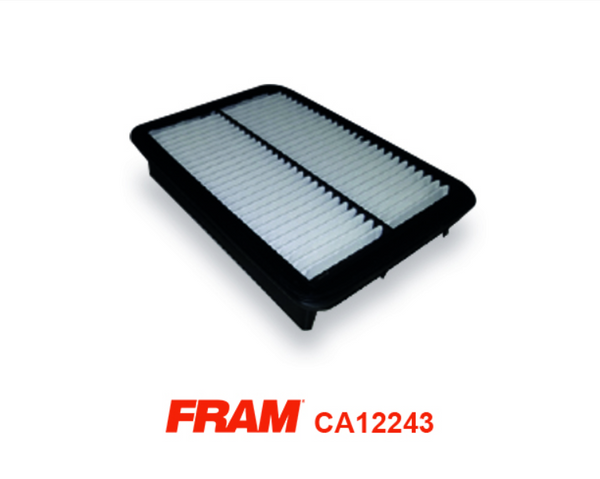 Fram Air Filter - CA12243