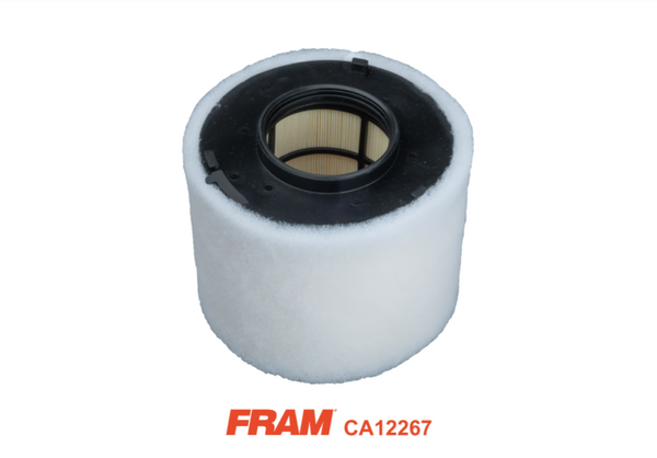 Fram Air Filter - CA12267