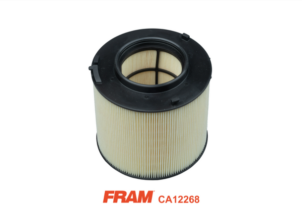 Fram Air Filter - CA12268