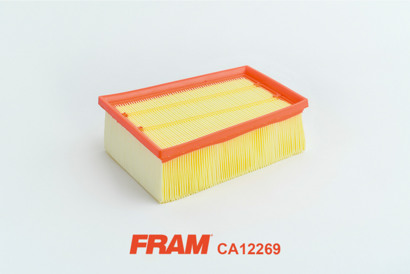 Fram Air Filter - CA12269