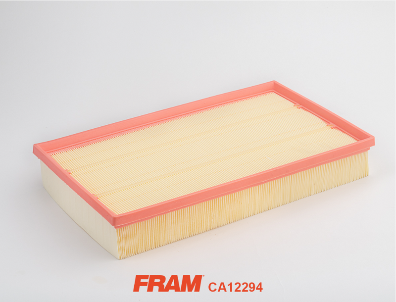 Fram Air Filter - CA12294