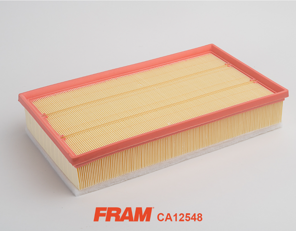 Fram Air Filter - CA12548