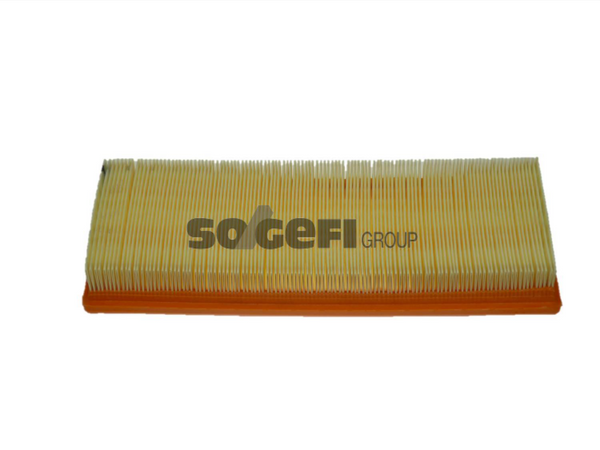 Fram Air Filter - CA3373