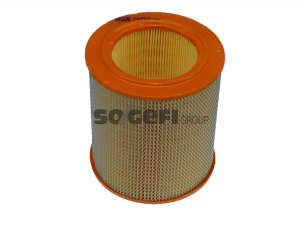 Fram Air Filter - CA4813