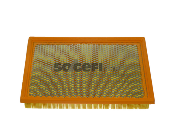 Fram Air Filter - CA8817