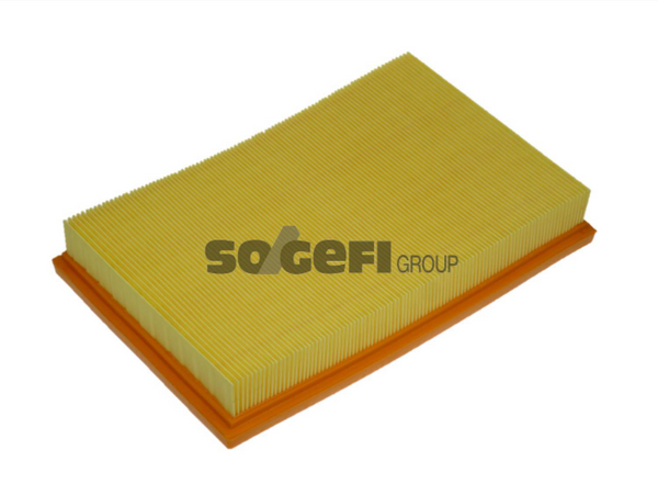 Fram Air Filter - CA9015