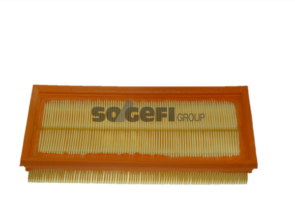 Fram Air Filter - CA9101