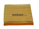 Fram Air Filter - CA9102