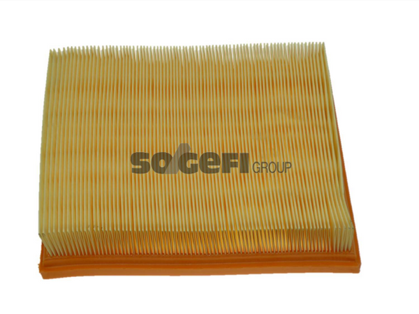 Fram Air Filter - CA9102