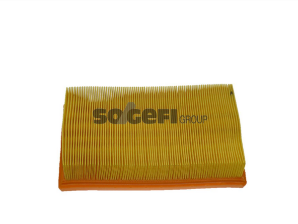 Fram Air Filter - CA9103