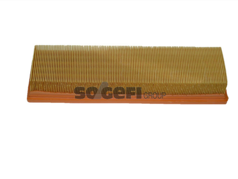 Fram Air Filter - CA9313