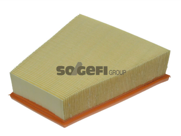 Fram Air Filter - CA9431