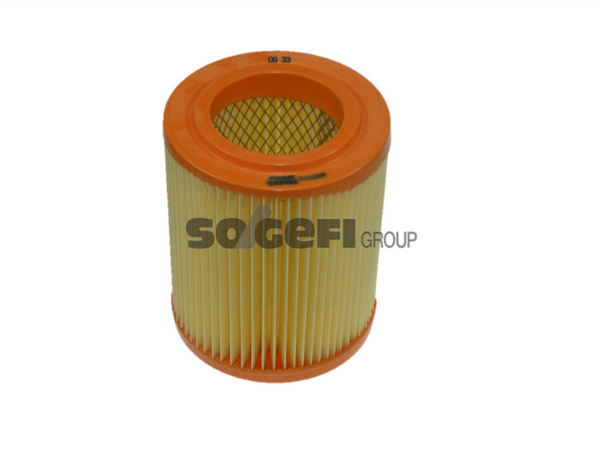 Fram Air Filter - CA9493