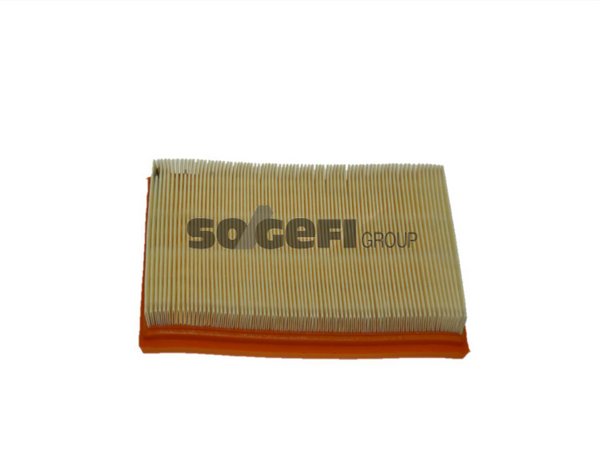 Fram Air Filter - CA9494