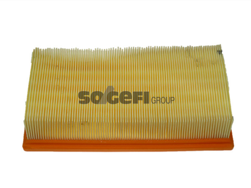 Fram Air Filter - CA9513