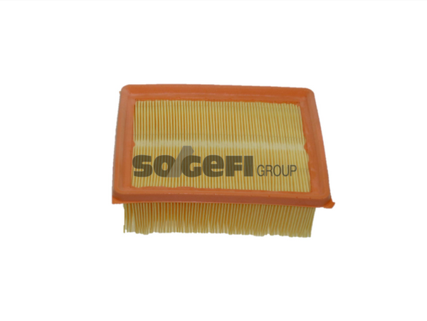 Fram Air Filter - CA9622