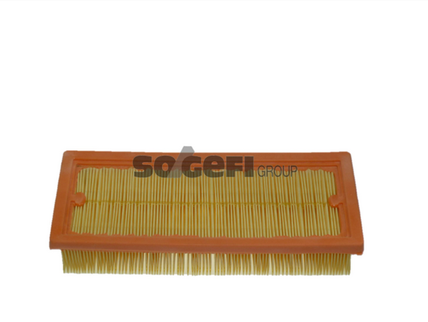 Fram Air Filter - CA9629