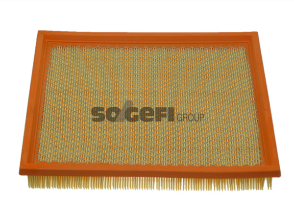 Fram Air Filter - CA9646