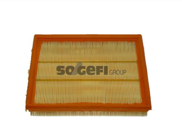 Fram Air Filter - CA9759