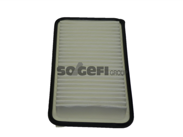 Fram Air Filter - CA9849