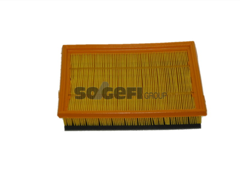 Fram Air Filter - CA9861