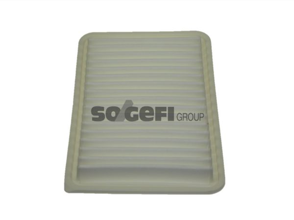 Fram Air Filter - CA9894