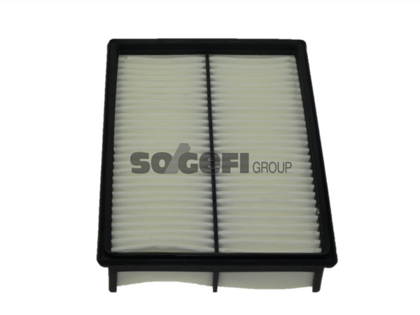 Fram Air Filter - CA9898