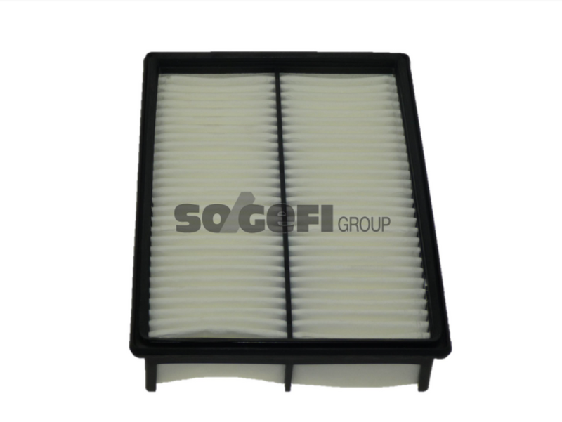 Fram Air Filter - CA9898