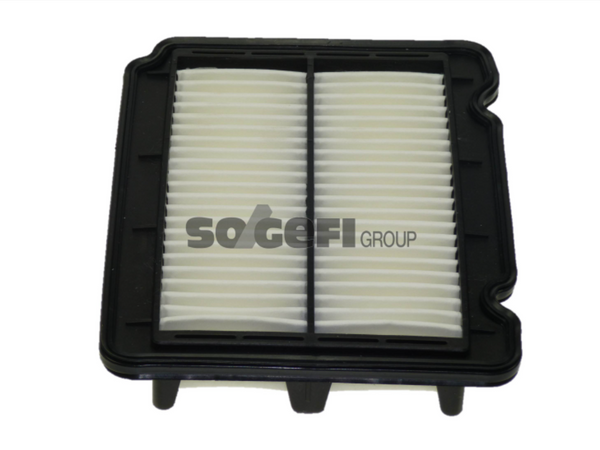 Fram Air Filter - CA9902