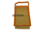 Fram Air Filter - CA9924