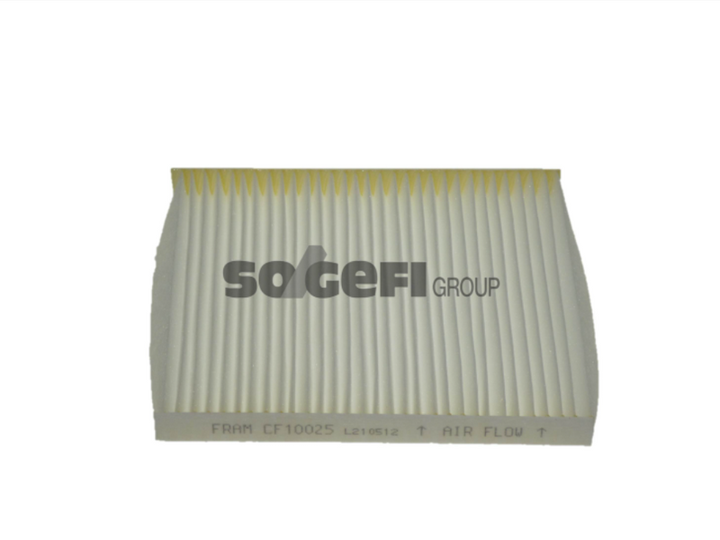 Fram Cabin / Pollen Filter - CF10025