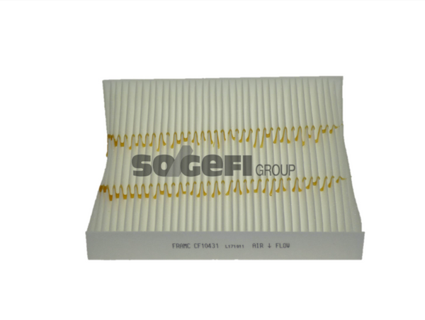 Fram Cabin / Pollen Filter - CF10431