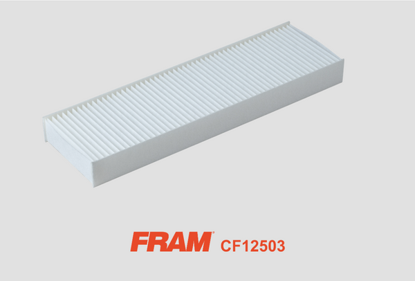 Fram Pollen/Cabin Filter - CF12503