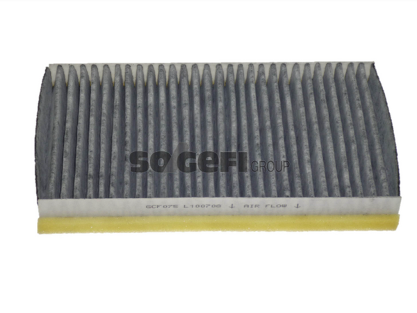 Fram Cabin / Pollen Filter - CFA10417