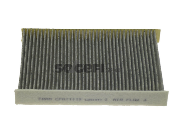 Fram Cabin / Pollen Filter - CFA11119